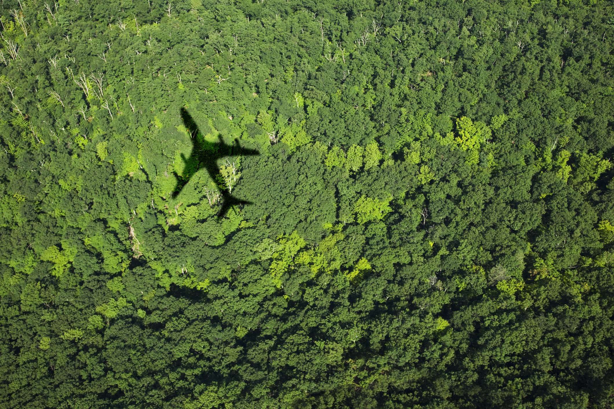 COP26 chiede al settore aereo di raggiungere l'impatto zero nel 2050