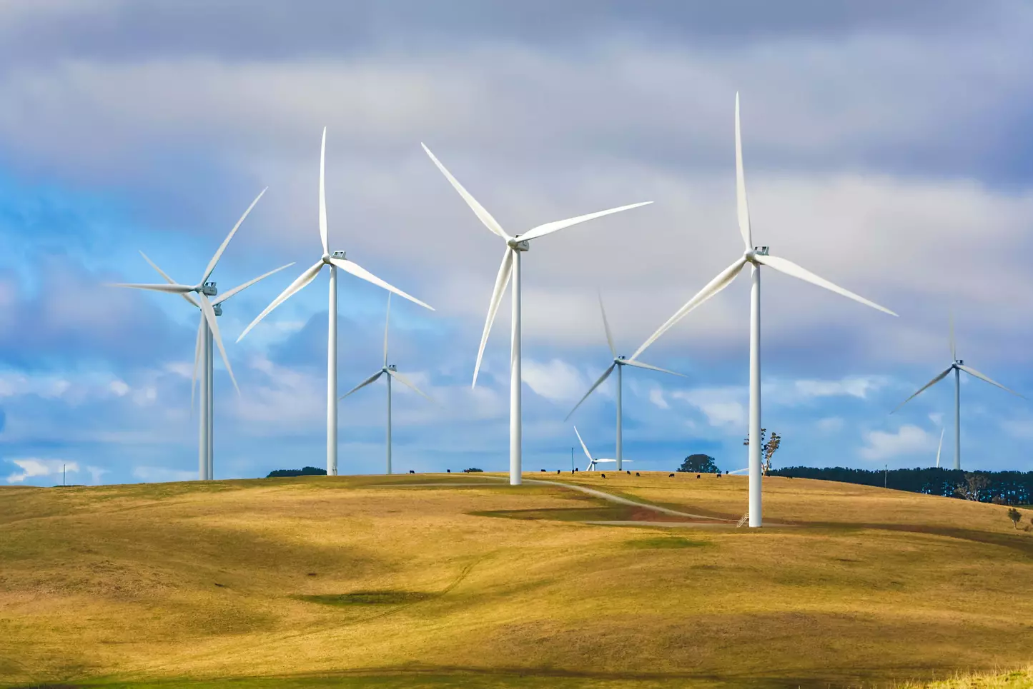   La sindrome NIMBY può anche causare un'errata allocazione degli investimenti nei progetti per l'energia rinnovabile, in particolare nell'eolico